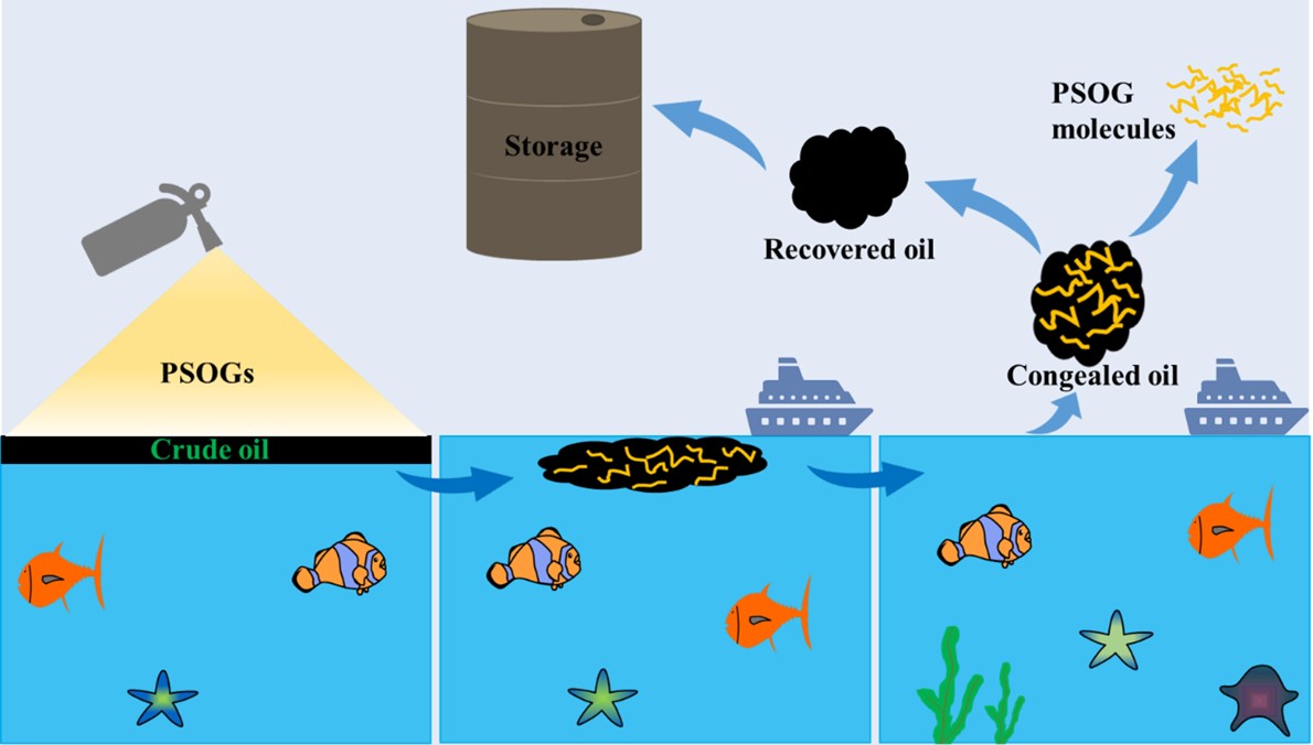 A paper of Huifang Bi et al. was published by Journal of Marine Science and Engineering