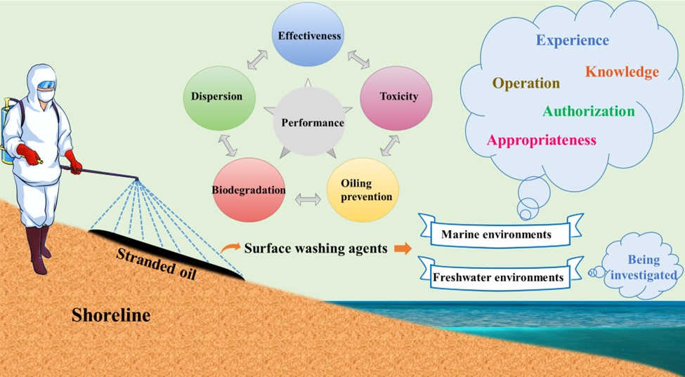 A paper of Huifang Bi et al. was accepted by Ocean and Coastal Management