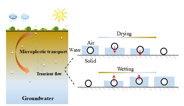 A paper of Qi Feng et al. was published by Water Research
