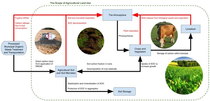 A paper of Keith Mateo et al. was published by Water, Air, & Soil Pollution