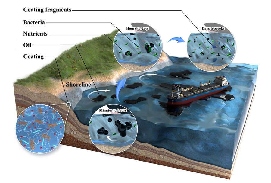 A paper of Huifang Bi et al. was published by ACS ES&T Water