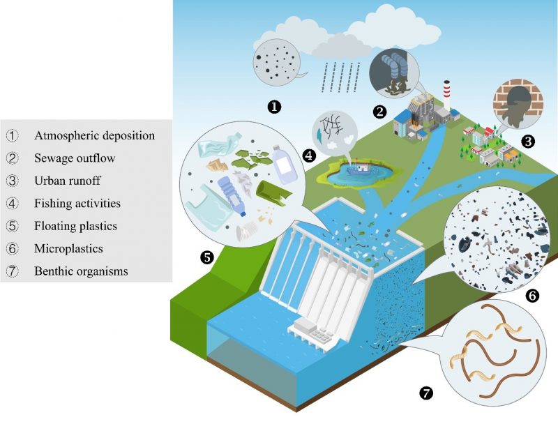 A paper of Wei Gao et al. was accepted by Eco-Environment & Health
